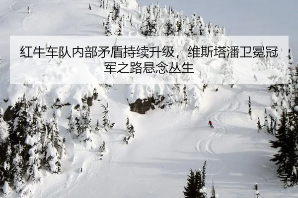 hong-niu-che-dui-nei-bu-mao-dun-chi-xu-sheng-ji-wei-si-ta-pan-wei-mian-guan-jun-zhi-lu-xuan-nian-cong-sheng-3-285.jpg